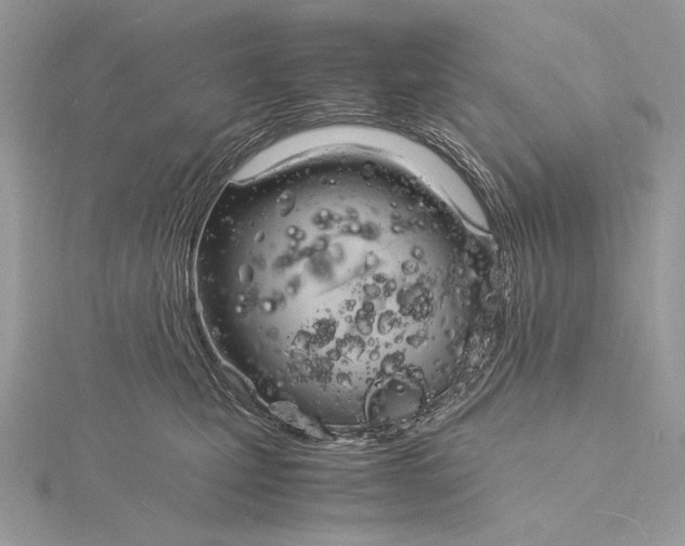 X0000115840471200912041712