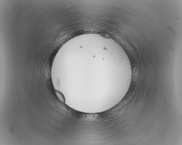 X0000115840474200912041712