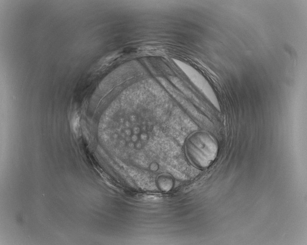 X0000115840475200912041712