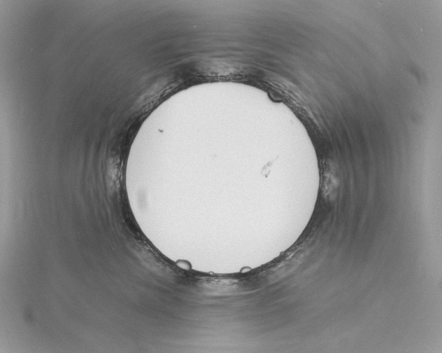 X0000115840476200912041712