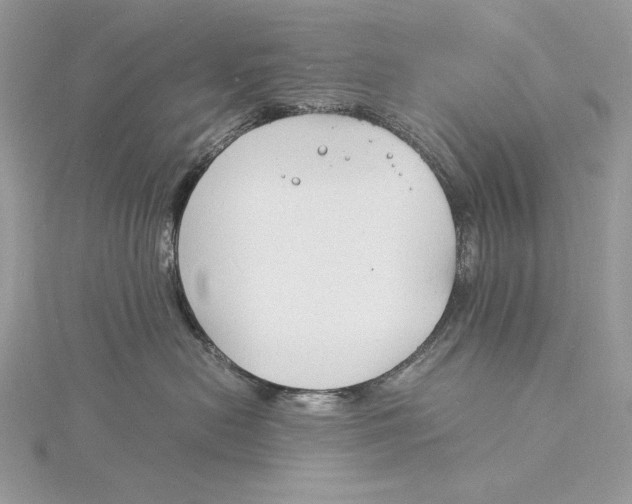 X0000115840478200912041712