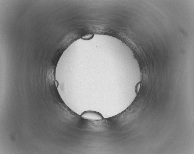 X0000115840479200912041712