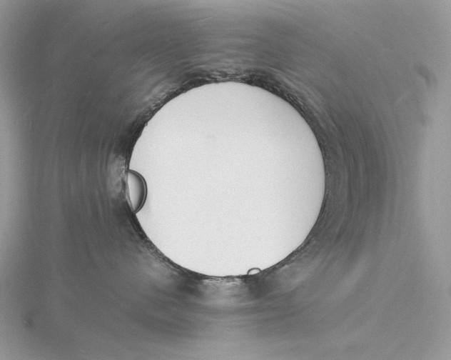 X0000115840480200912041712