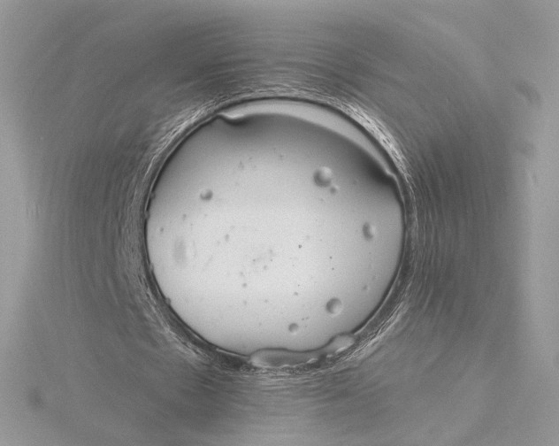 X0000115840481200912041711