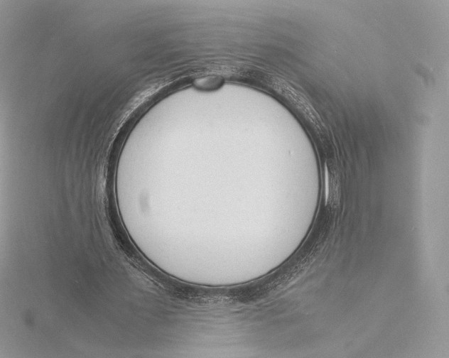 X0000115840483200912041711