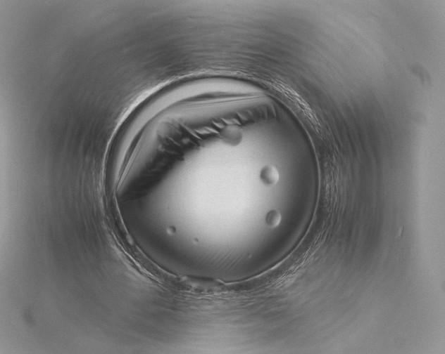 X0000115840484200912041711