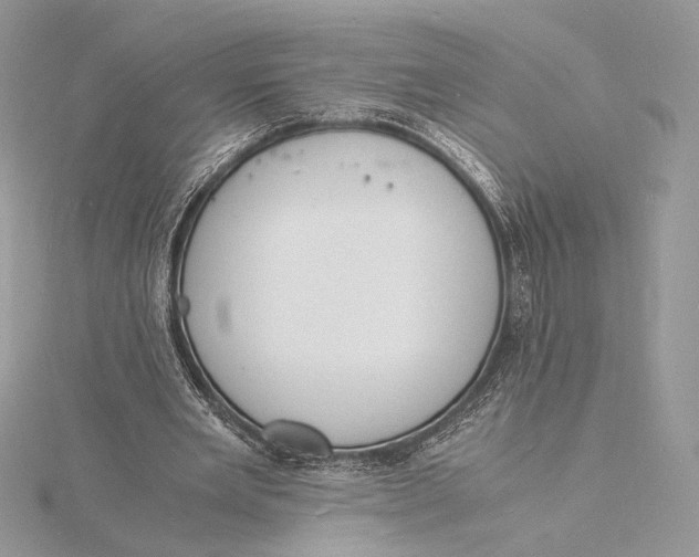 X0000115840485200912041711