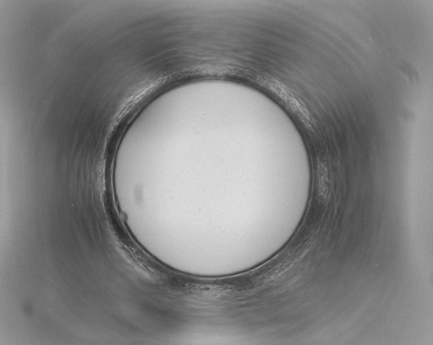 X0000115840486200912041711