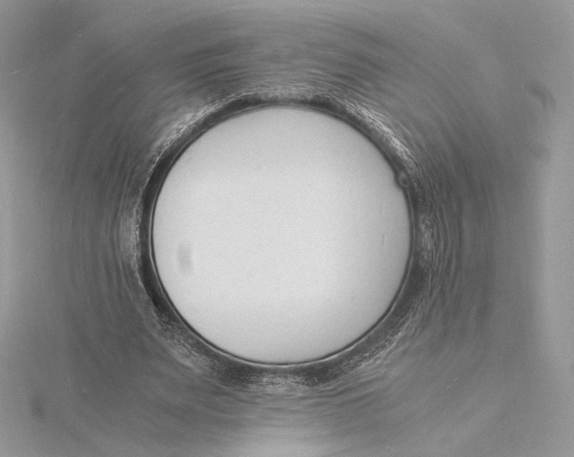 X0000115840487200912041711