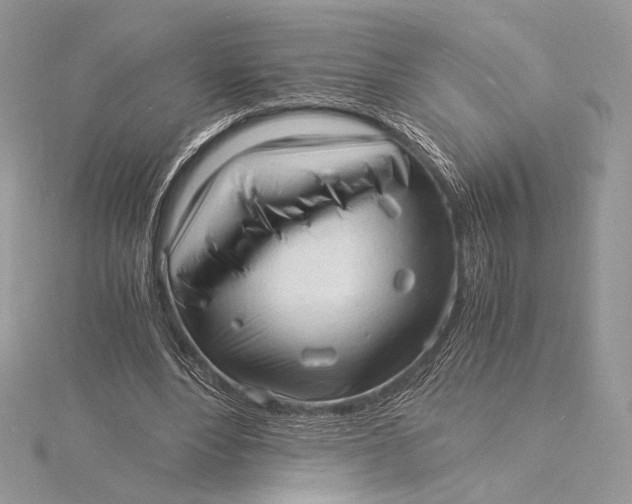 X0000115840488200912041711