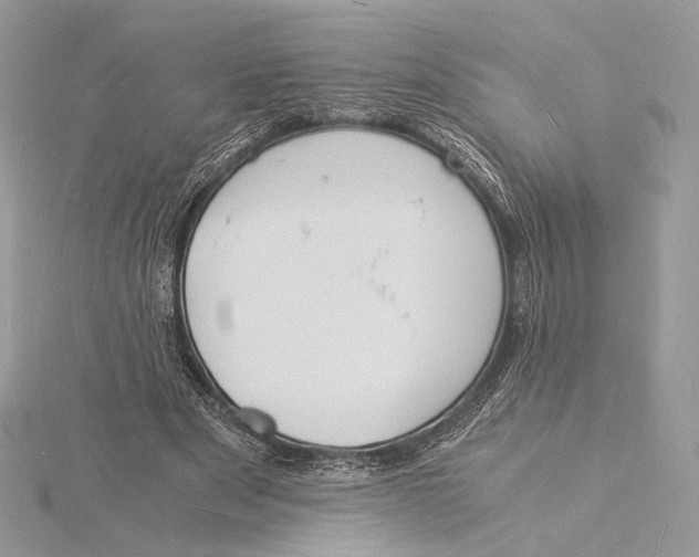 X0000115840489200912041711