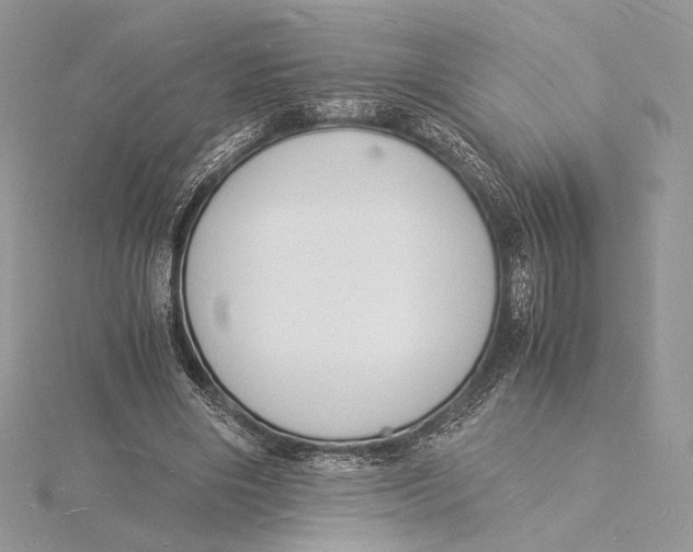 X0000115840490200912041711