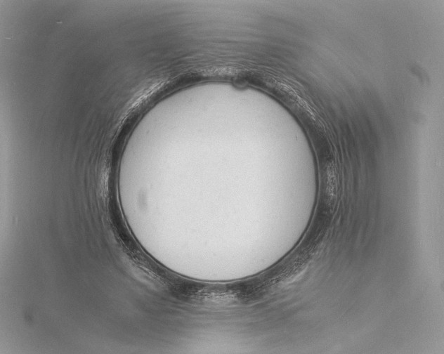 X0000115840491200912041711