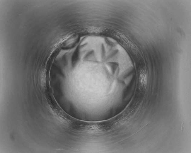 X0000115840492200912041711