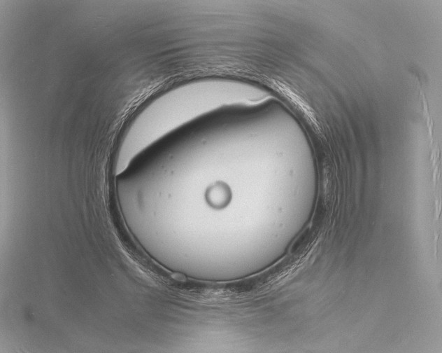 X0000115840493200912041711