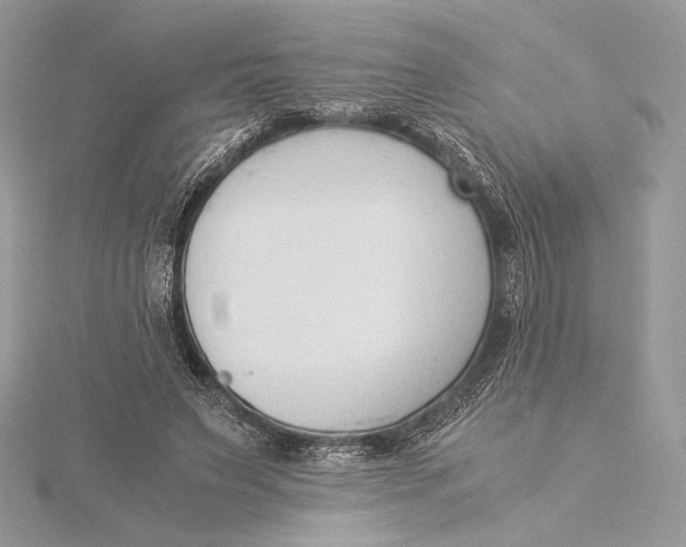 X0000115840495200912041711