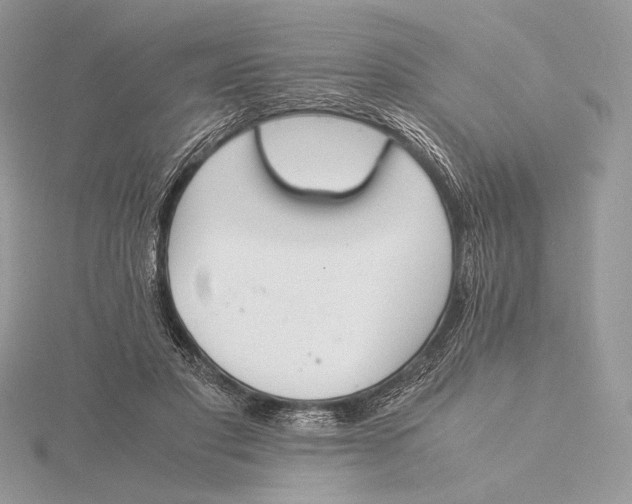 X0000115840501200912041711