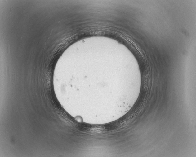 X0000115840505200912041711