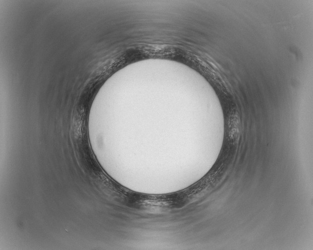 X0000115840515200912041711