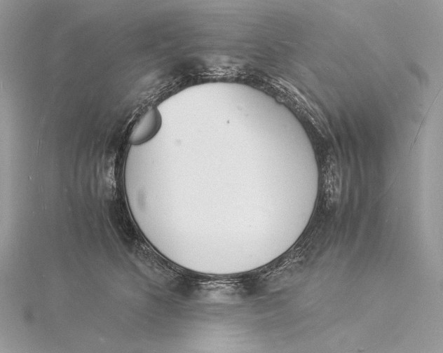 X0000115840516200912041711