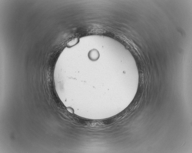 X0000115840517200912041711