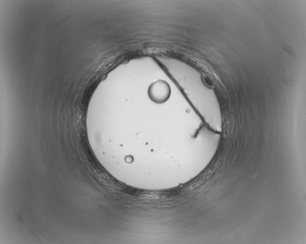 X0000115840521200912041711