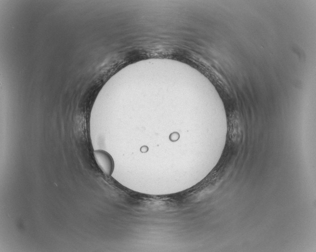 X0000115840523200912041711