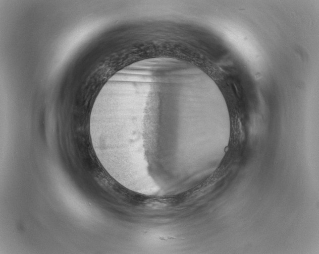 X0000115840526200912041711