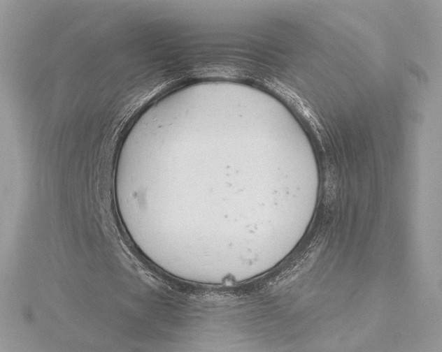 X0000115840529200912041710