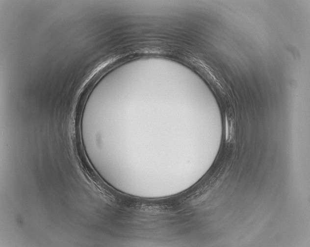 X0000115840531200912041710