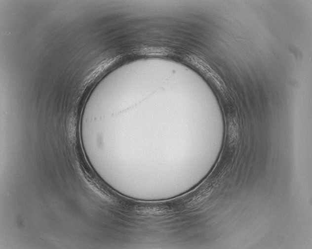 X0000115840533200912041710