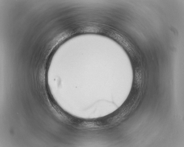 X0000115840534200912041710