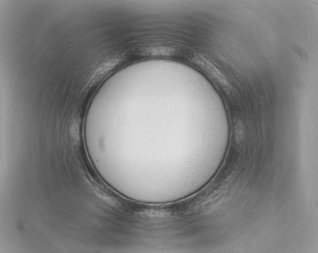 X0000115840537200912041710