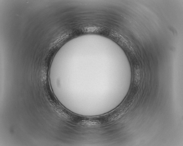 X0000115840545200912041710