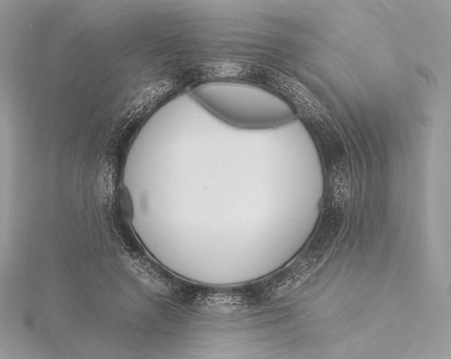 X0000115840546200912041710