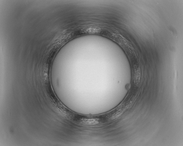 X0000115840553200912041710