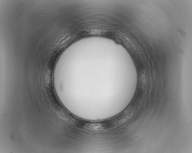 X0000115840554200912041710