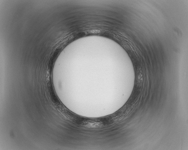 X0000115840555200912041710