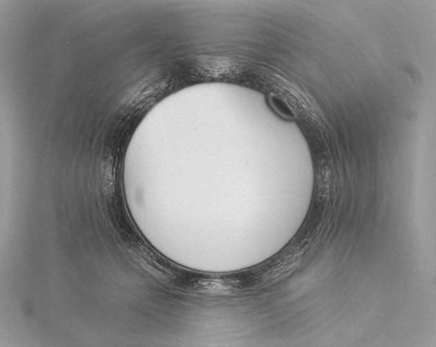 X0000115840558200912041710