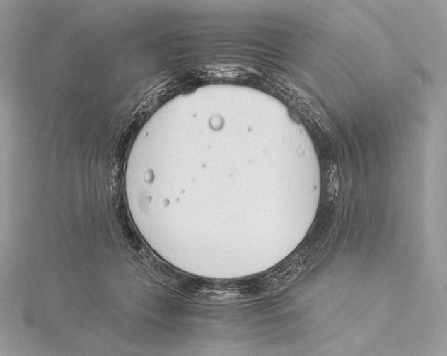 X0000115840559200912041710