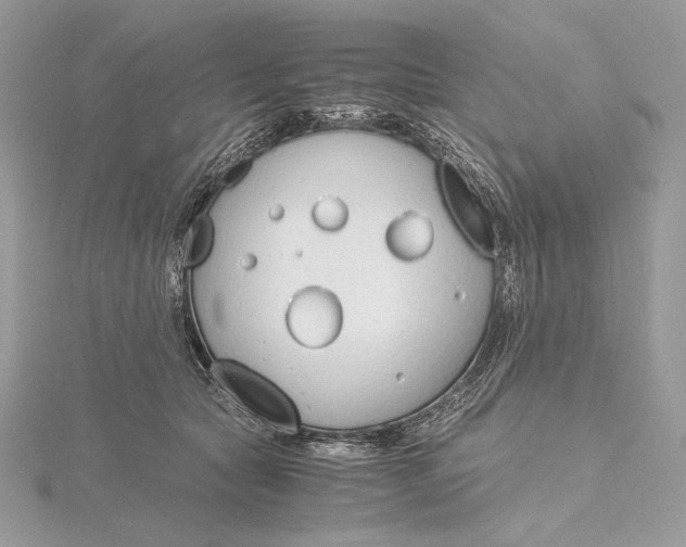 X0000115840561200912041710