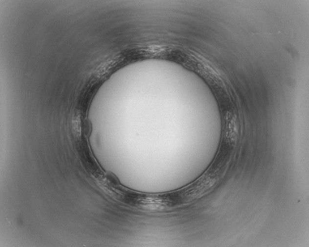 X0000115840562200912041710