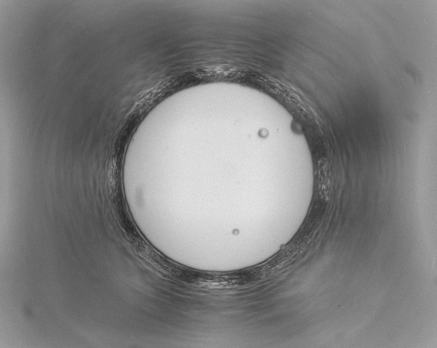 X0000115840563200912041710