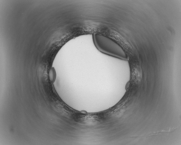 X0000115840566200912041710