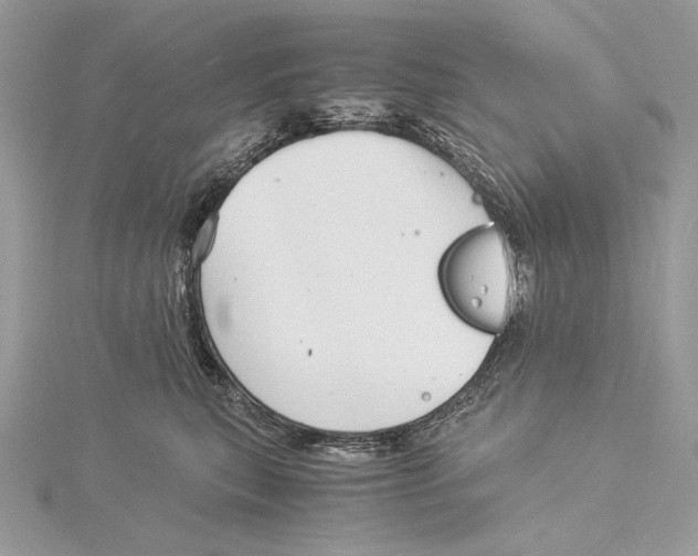 X0000115840567200912041710