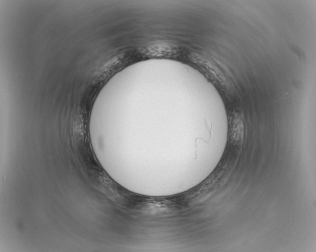 X0000115840569200912041711