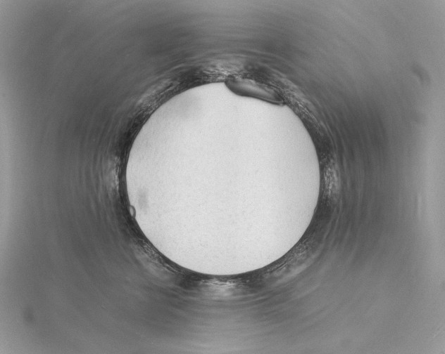 X0000115840570200912041711