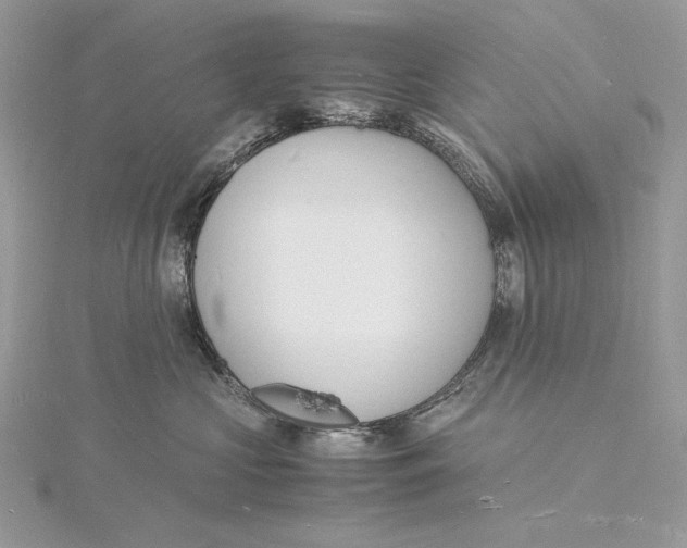 X0000115840573200912041711