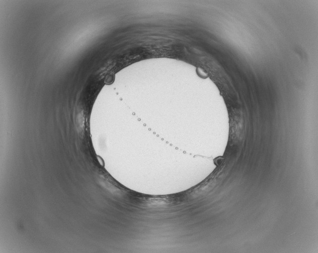 X0000115840574200912041711