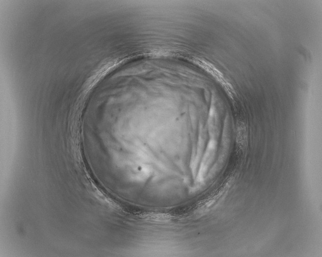 X0000115840577200912041710